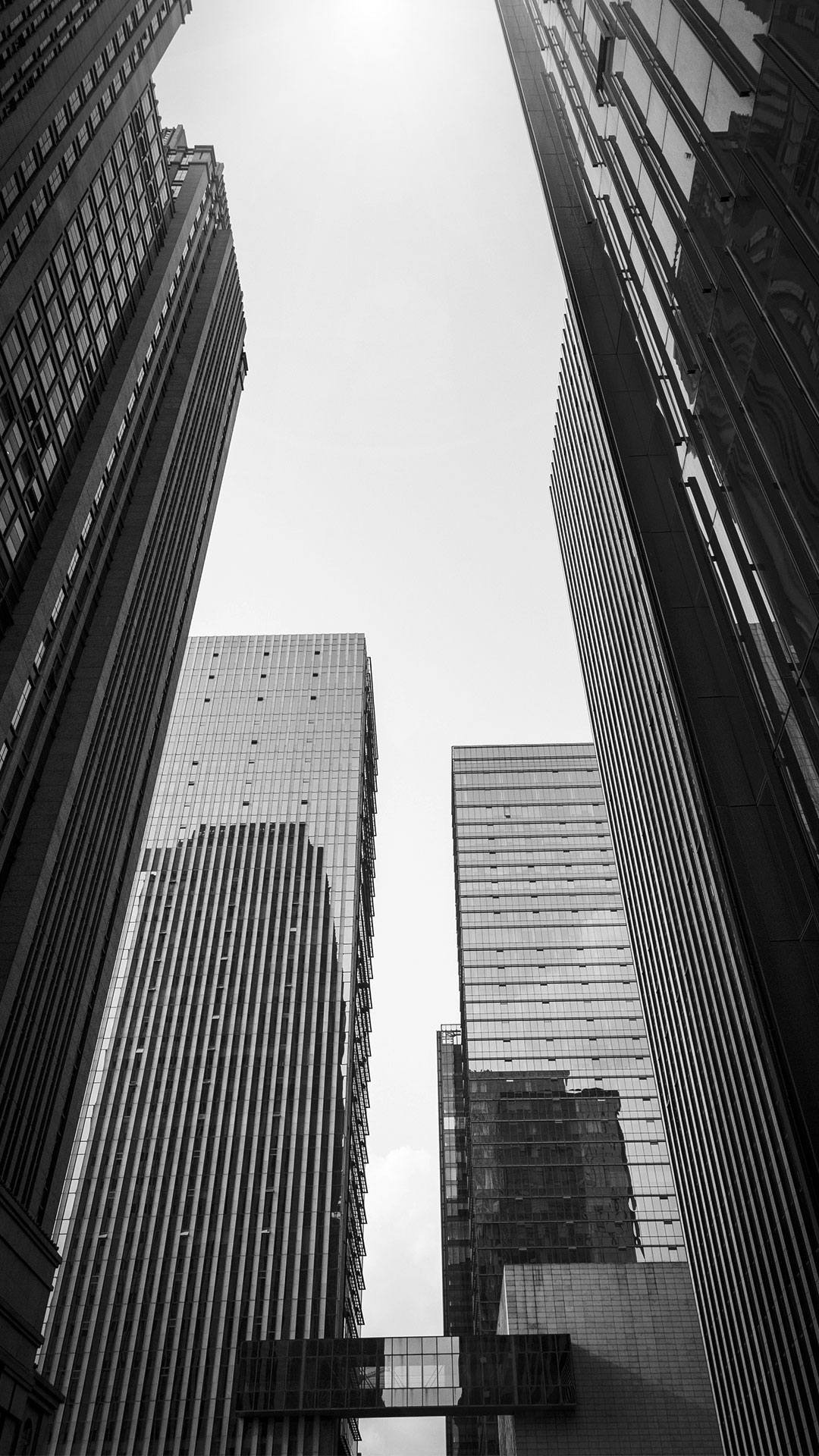 Equipo de trabajo en oficina 1